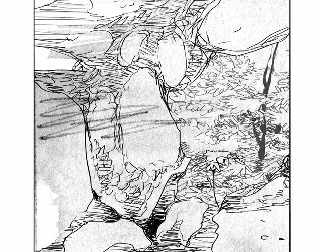 第47话 找到贝鹿了！27
