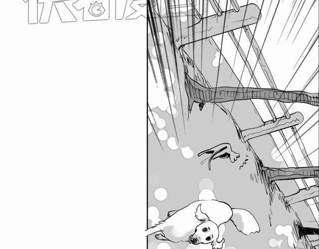第58话 一起去散步28