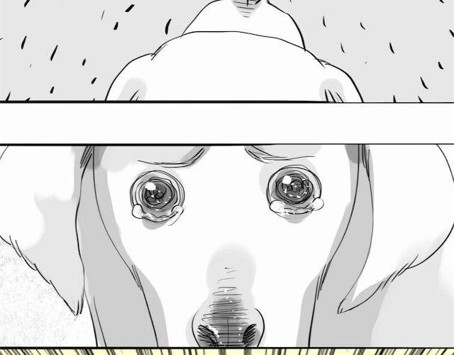 第58话 一起去散步22