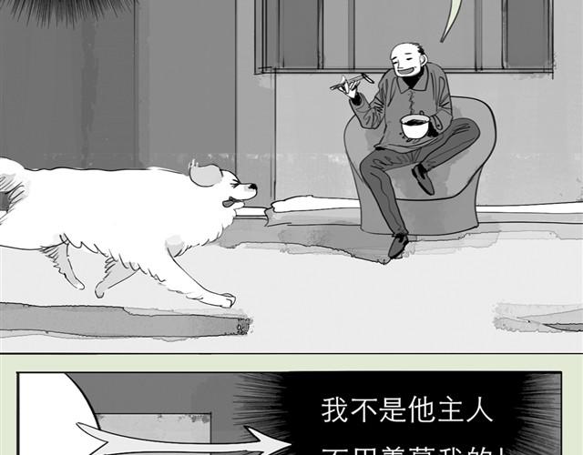 第23话 不准玩我的狗！2