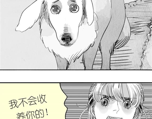 第24话 我竟然把阿汪丢下了9
