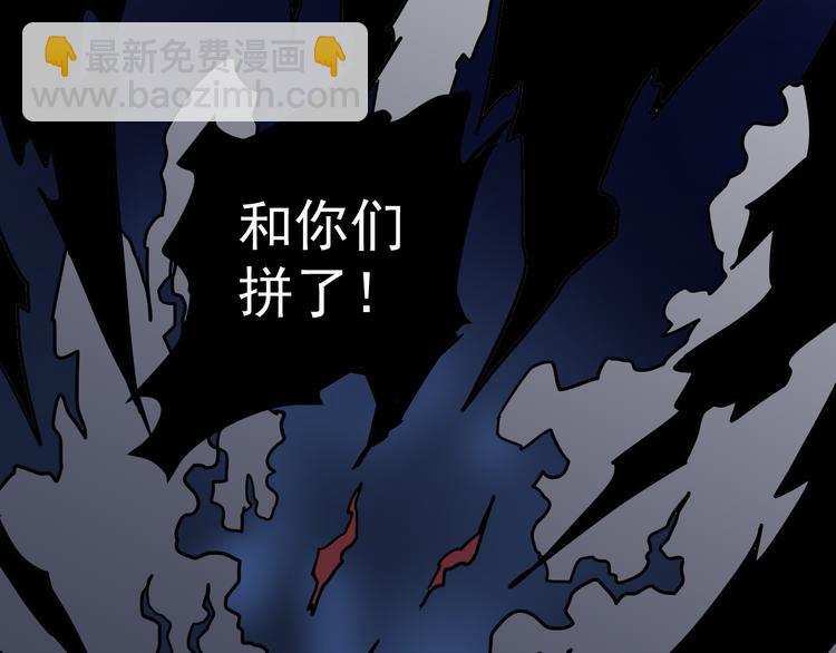 第35话 影子系列完结篇30