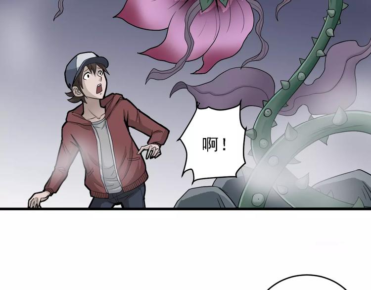 第12话 藏宝图之怪花3
