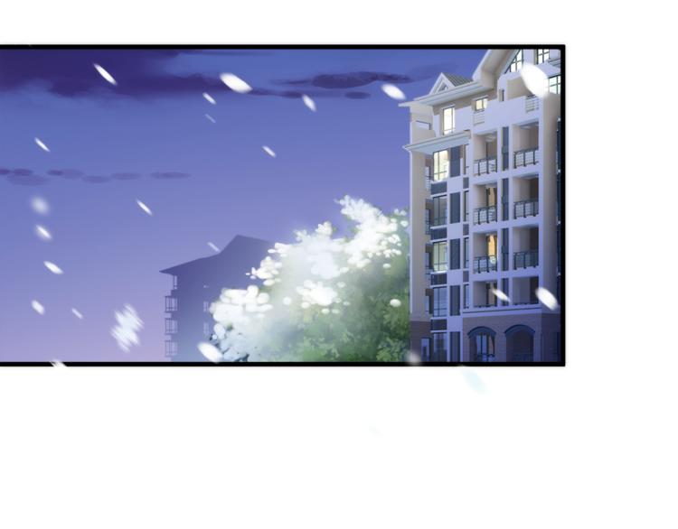 第74话 重要的日子18