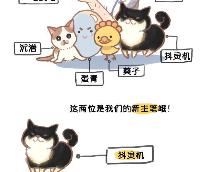 第113话 暂时不见面85