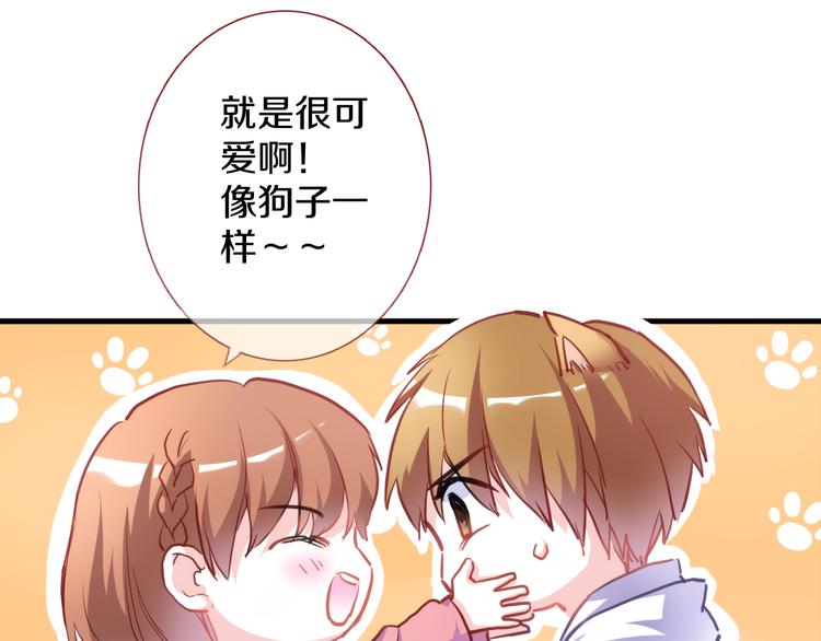 第65话 粘人的大狗狗72