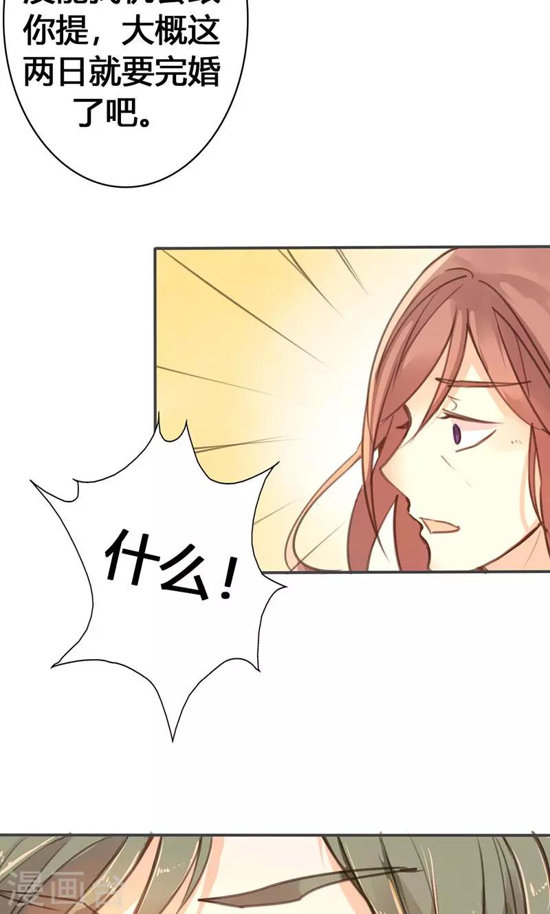 第29话 谁要成亲？8