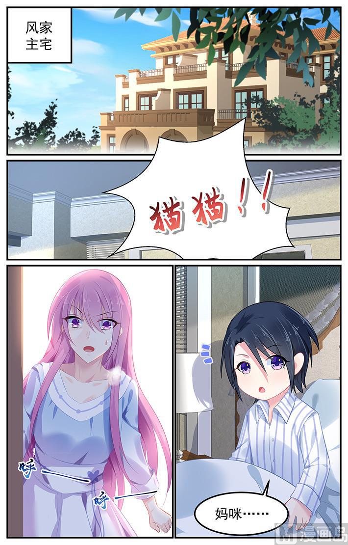 第107话 猫猫出事了0
