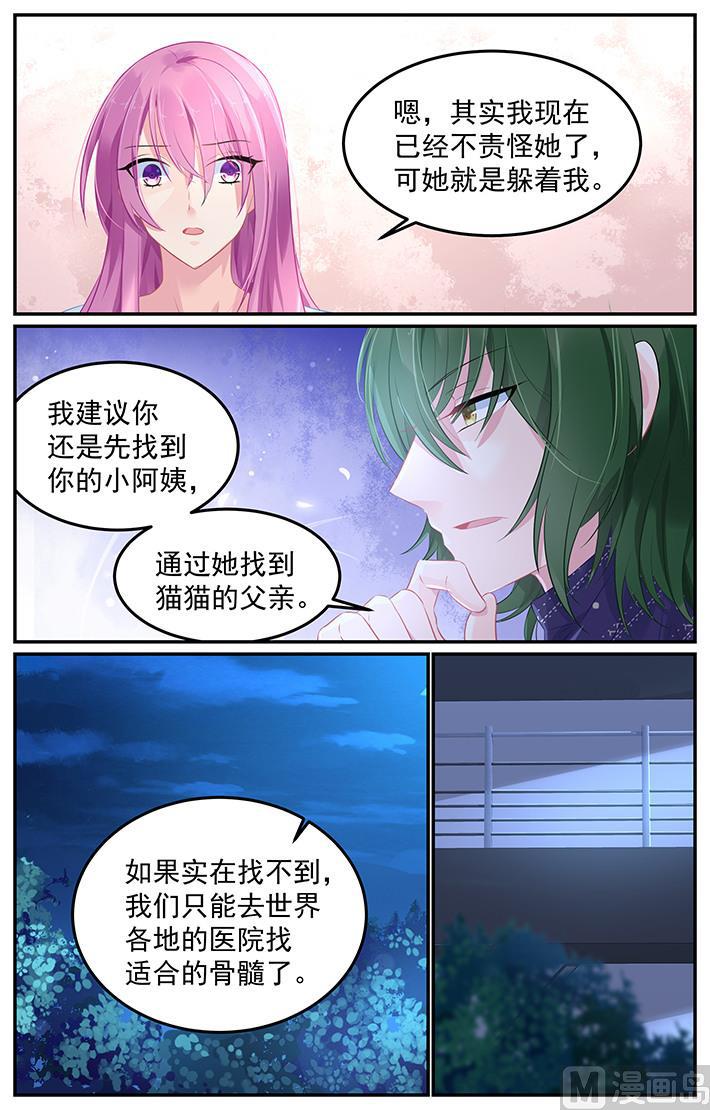 第107话 猫猫出事了5