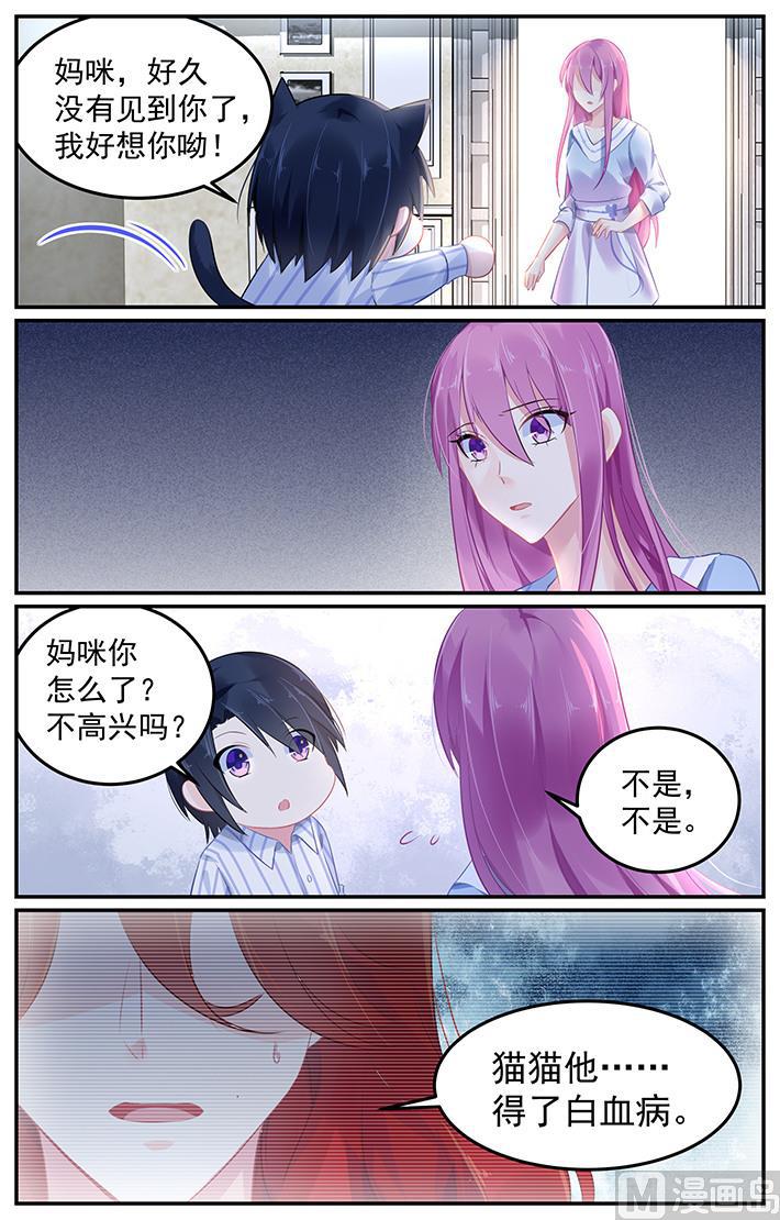 第107话 猫猫出事了1