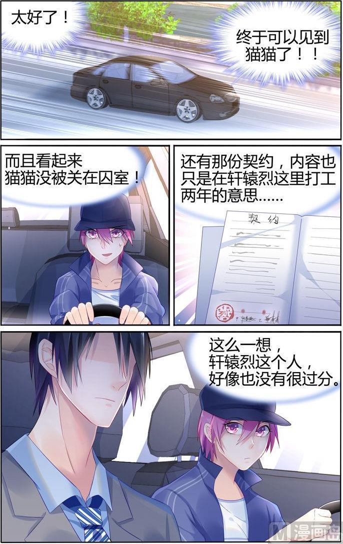 第19话 机灵的猫猫0