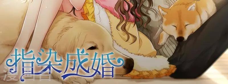第95话 陪我玩20