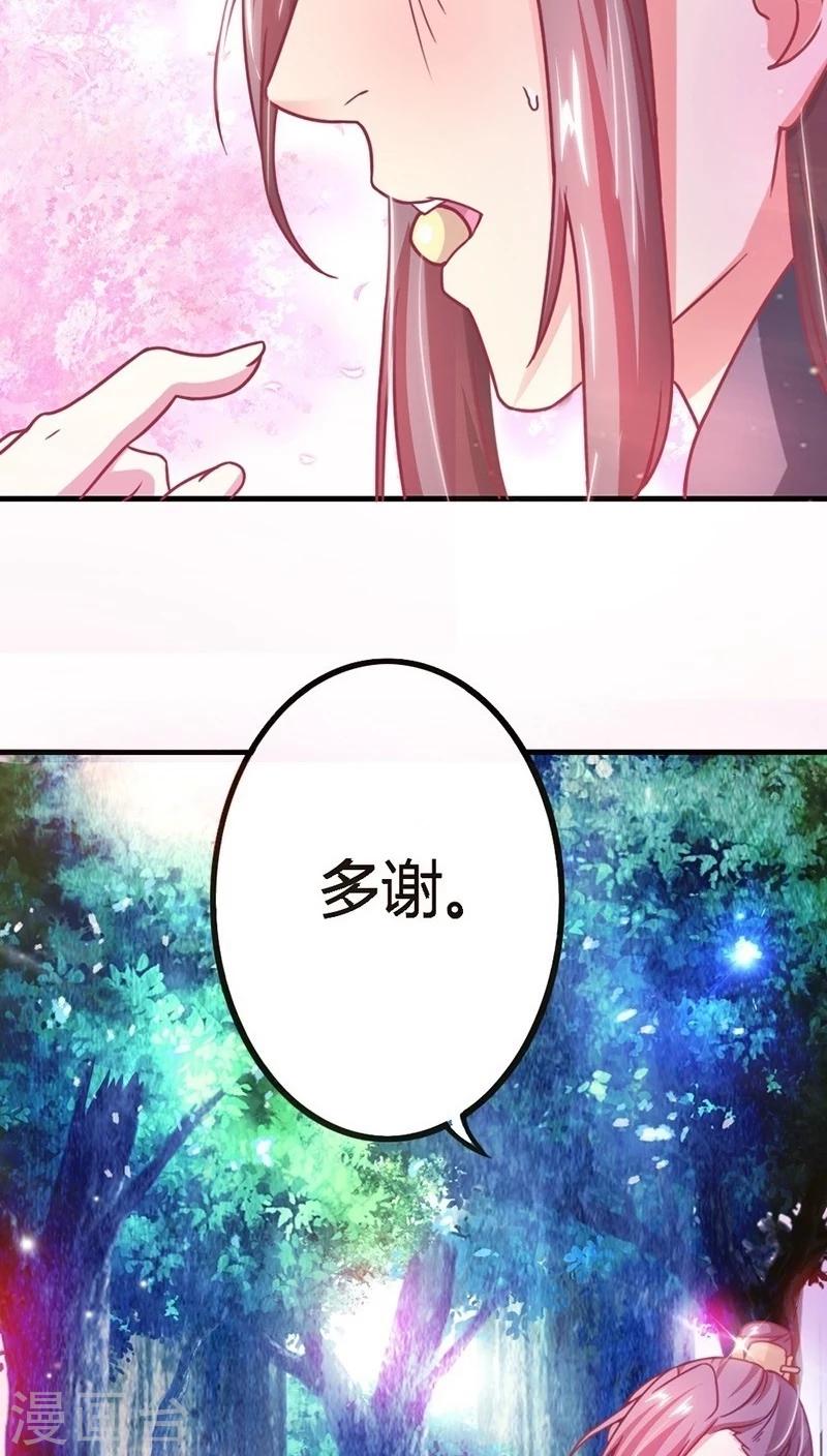 第8话 寻宝之旅8