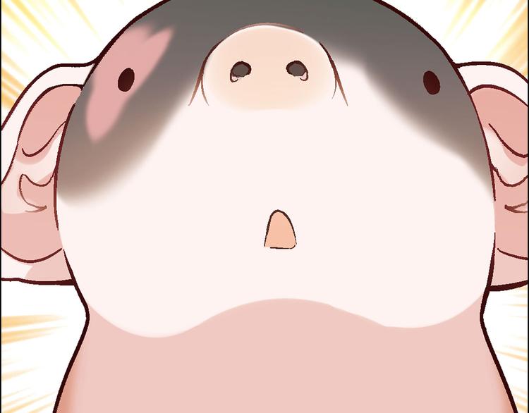 第5话 校招奇缘6