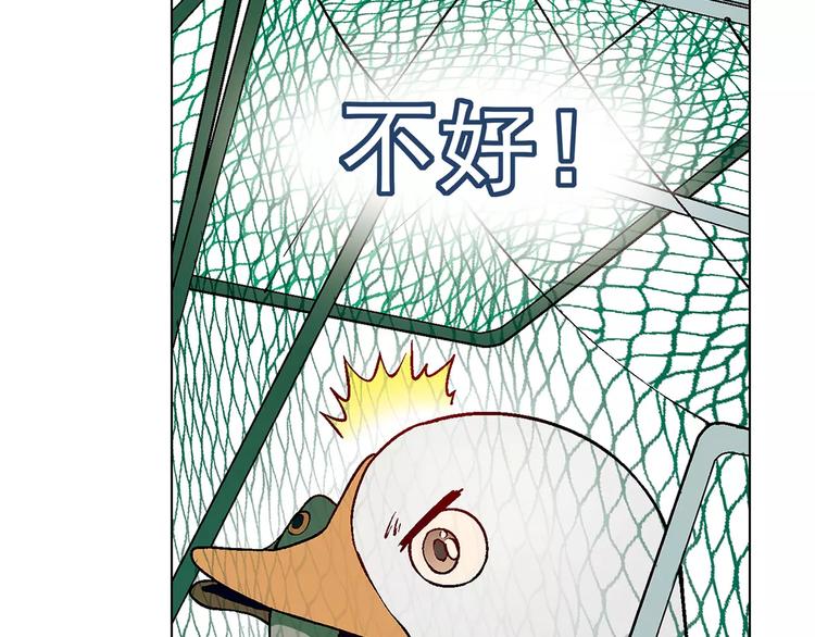 第27话 斗鸭122