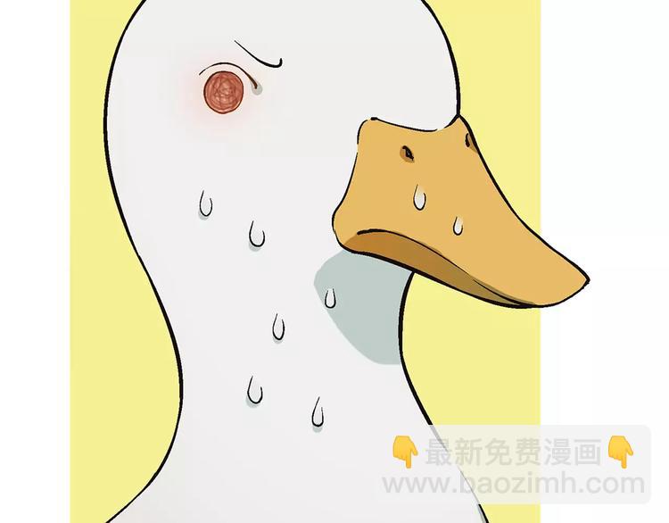 第27话 斗鸭115