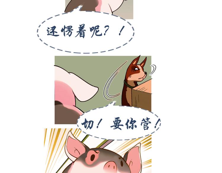第70话 萌宠出击！90
