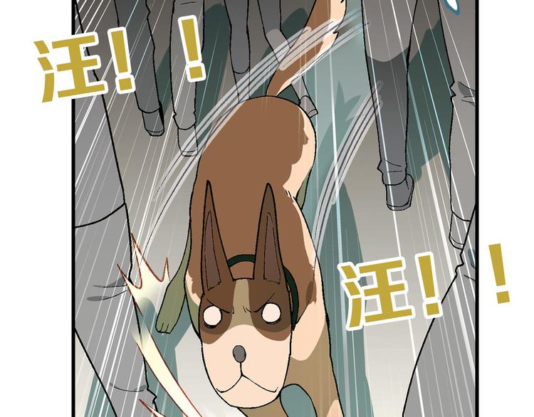 第70话 萌宠出击！32