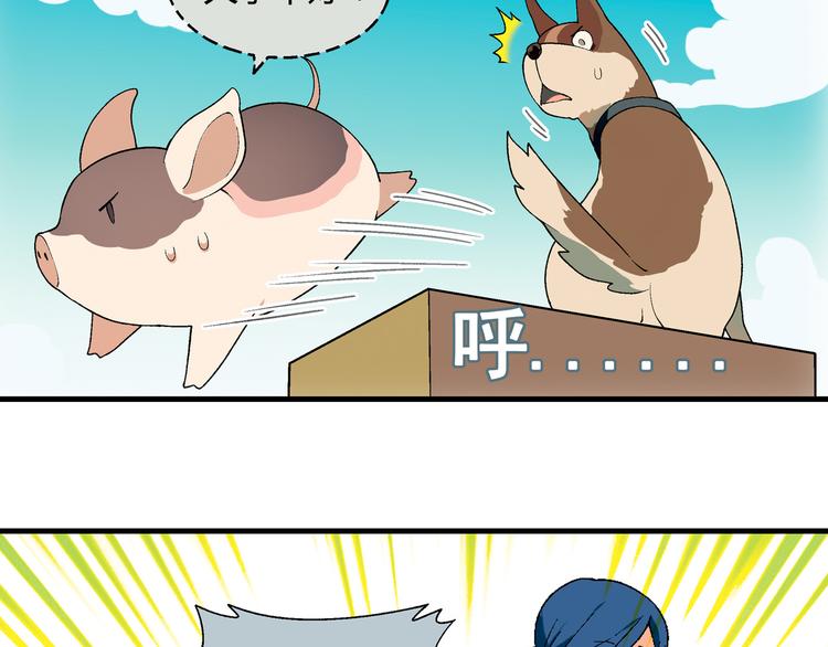 第70话 萌宠出击！50