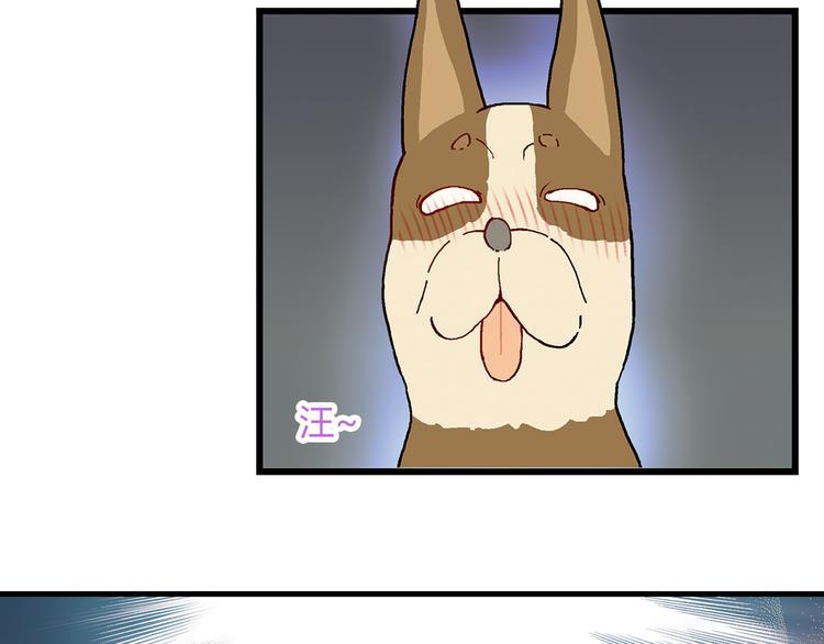 第71话 神秘大叔和料理大赛！20