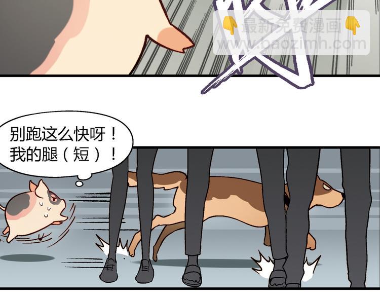 第75话 行走的领结就是我！51