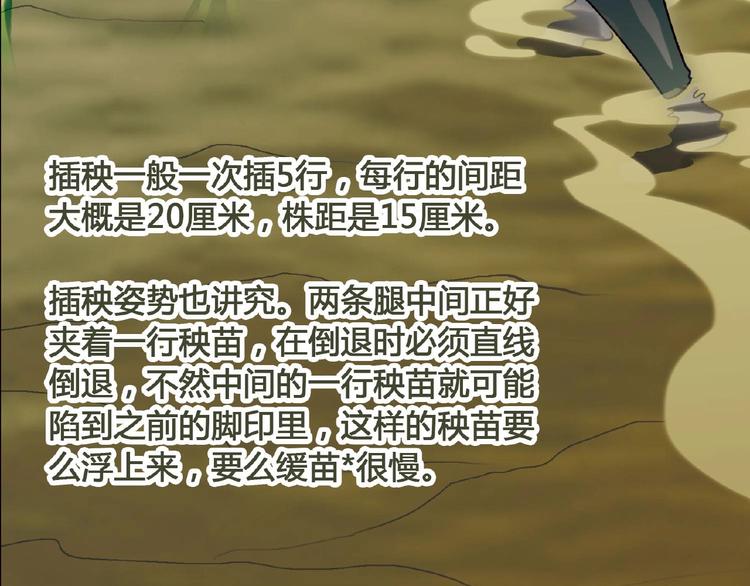 第136话 海水稻88
