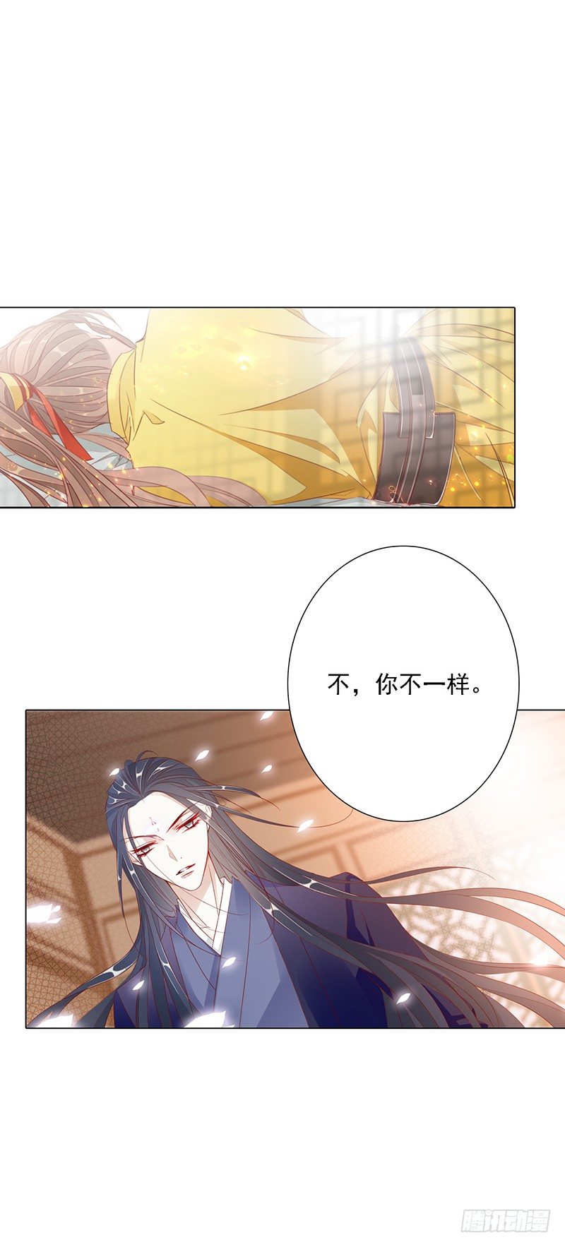 今晚你就知道了5