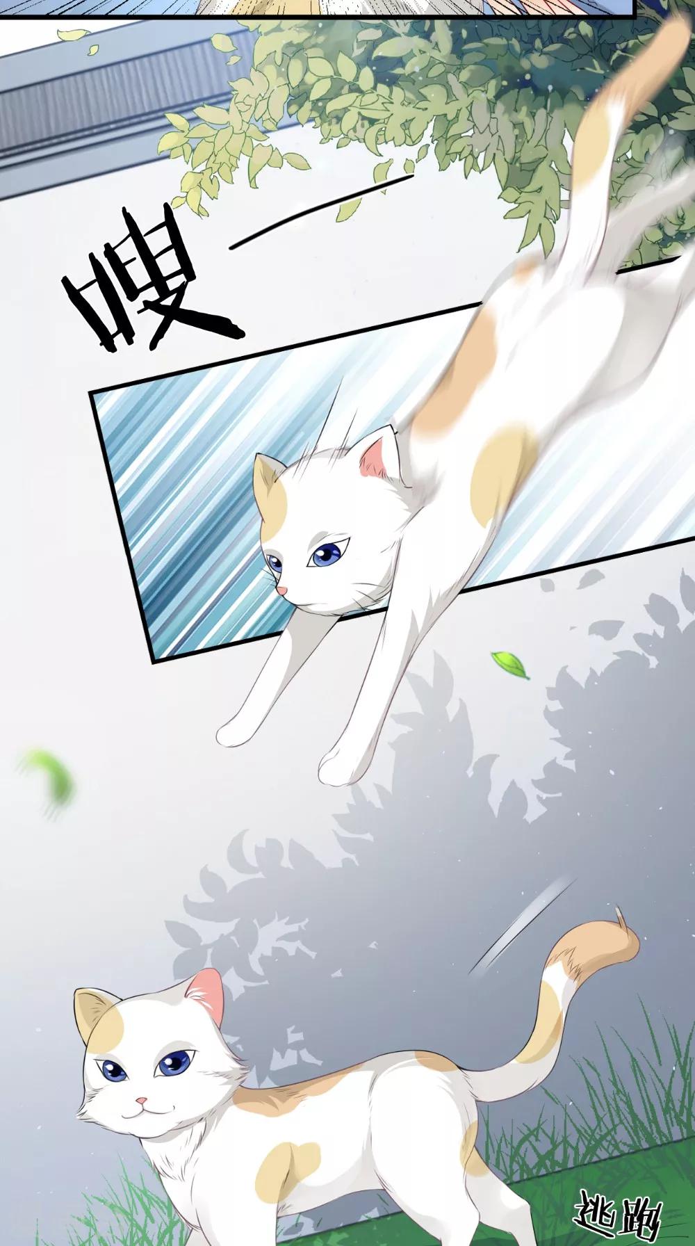 第139话 捉猫咪的人8