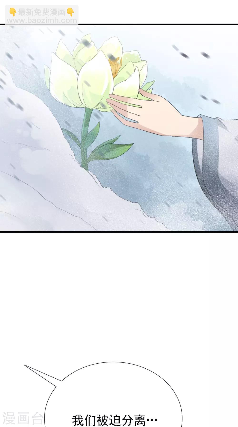 第161话 他和我没有关系21