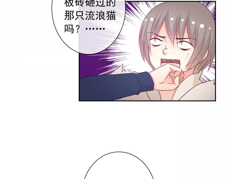 第75话 傻猫？蠢狗？56