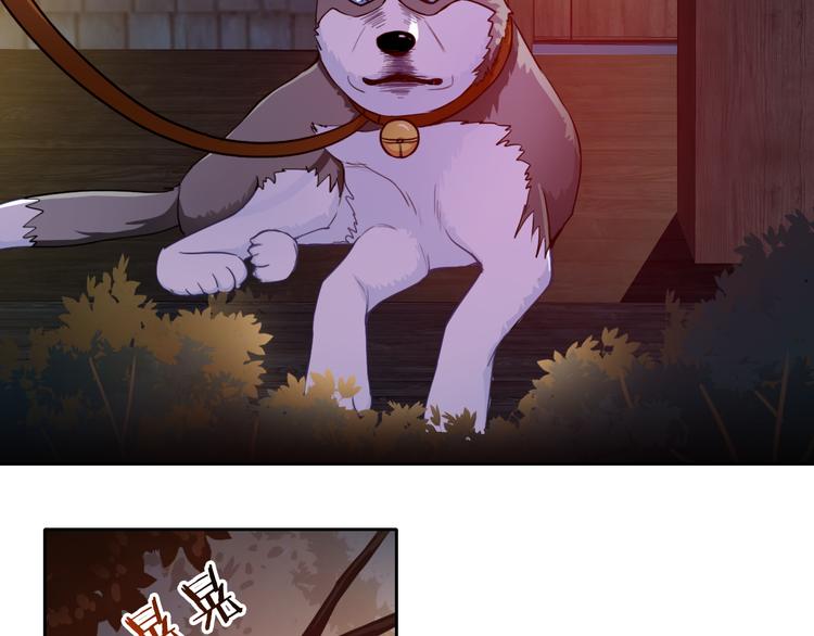 第35话 这只狗快成精了吧！？64
