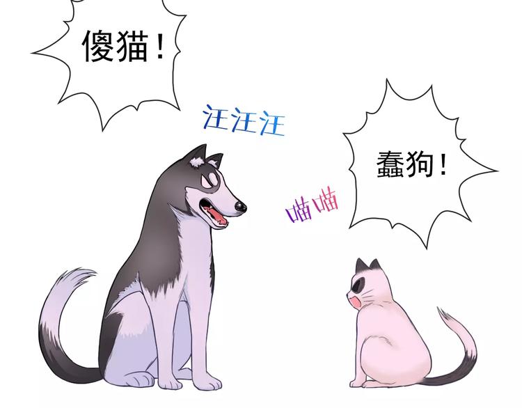 第75话 傻猫？蠢狗？90