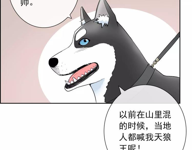 第86话 围观72