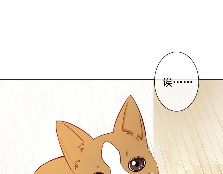 第47话 新宠24