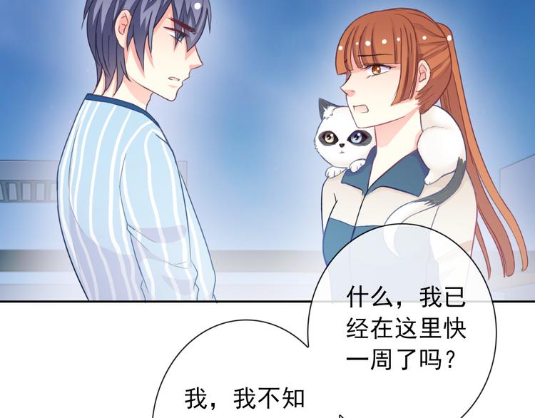 第75话 傻猫？蠢狗？65