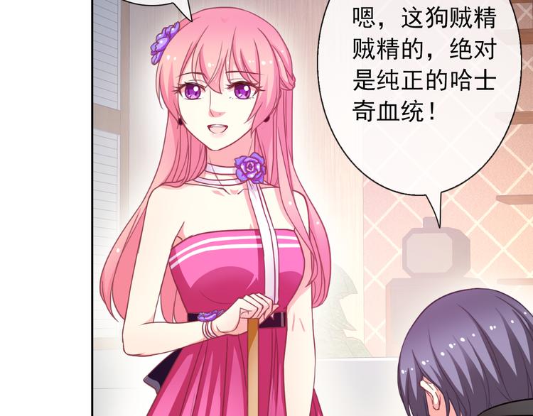 第35话 这只狗快成精了吧！？61