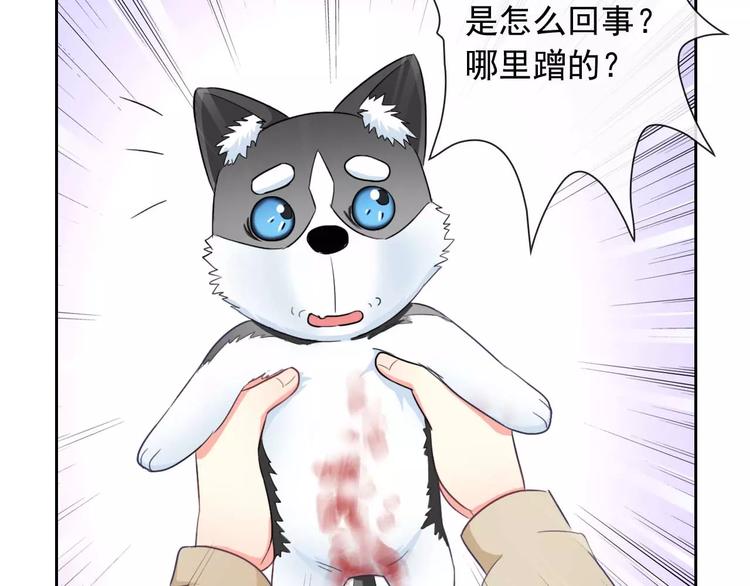 第63话 我是男的！13