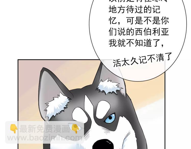 第86话 围观75