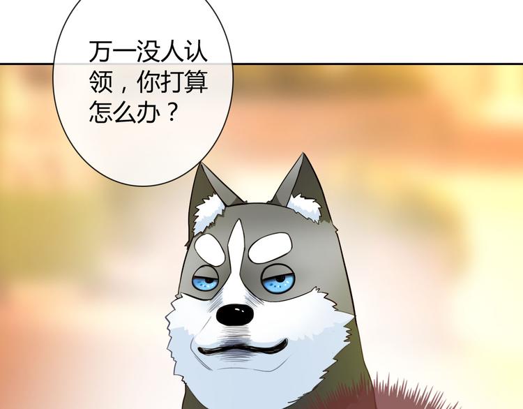第28话 我被狗遛了！？77