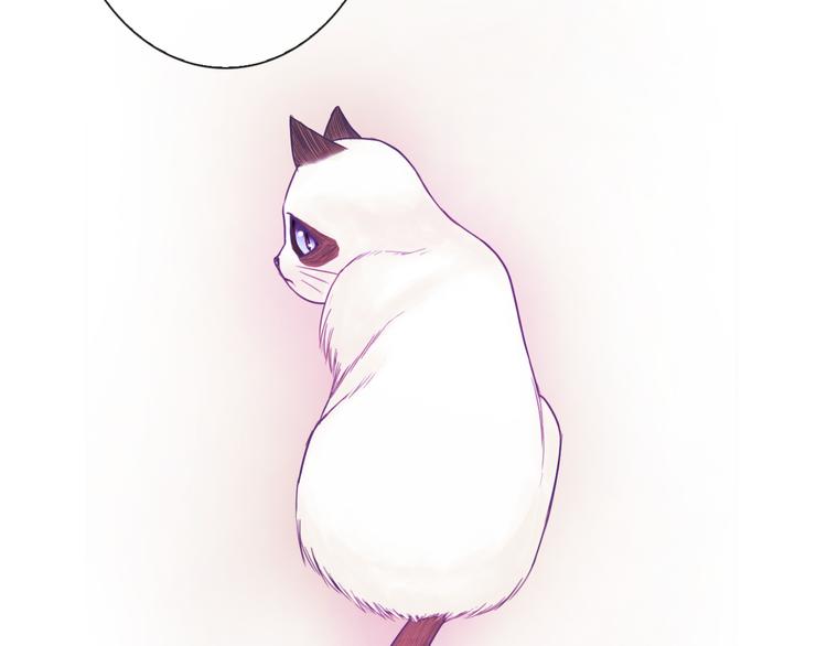 第75话 傻猫？蠢狗？73