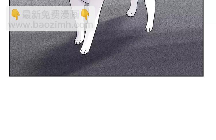 第89话 猫妖14