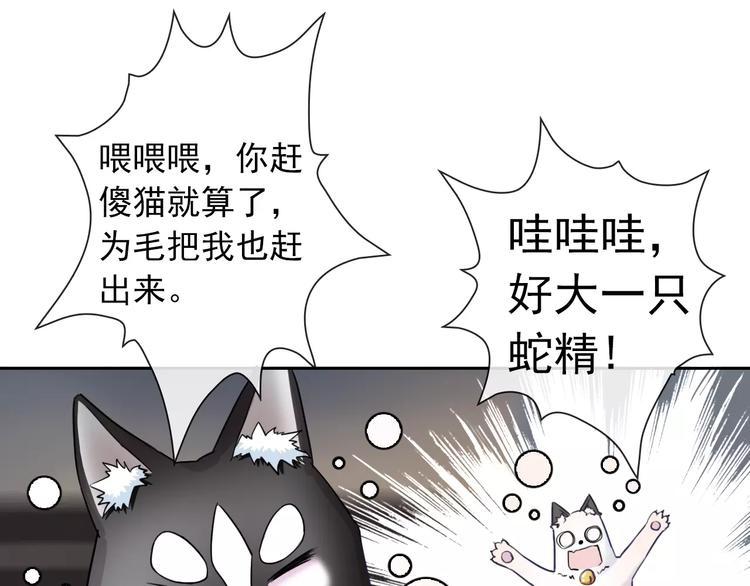 第89话 猫妖80