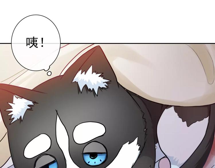 第92话 偷袭54