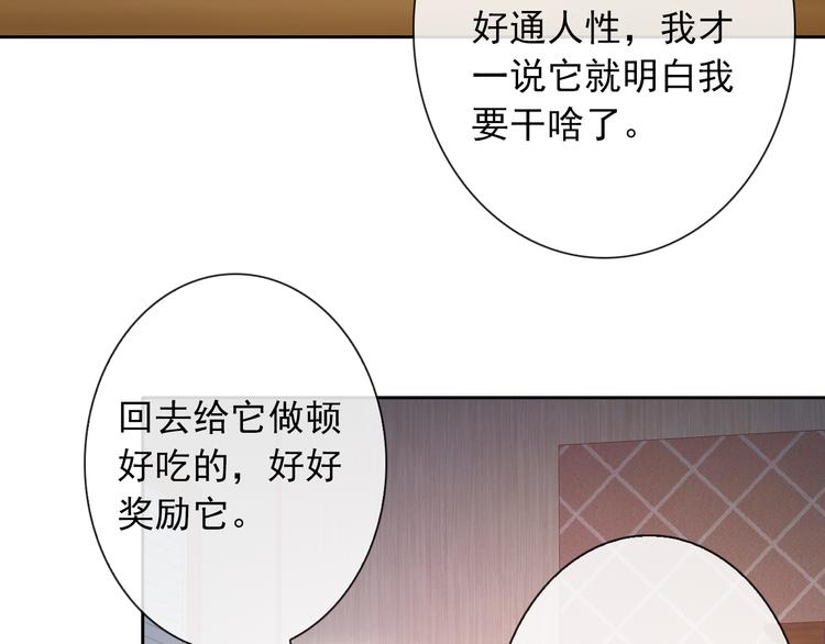 第35话 这只狗快成精了吧！？60