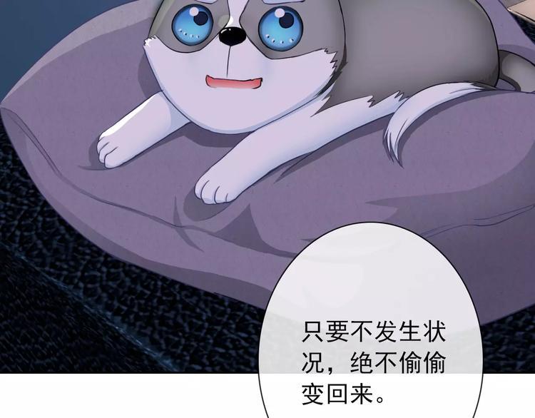 第83话 撸狗6