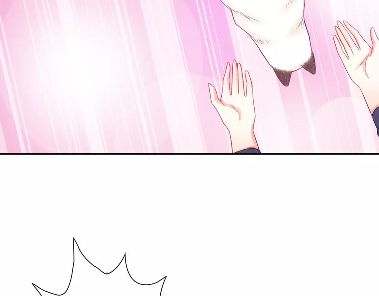 第75话 傻猫？蠢狗？48