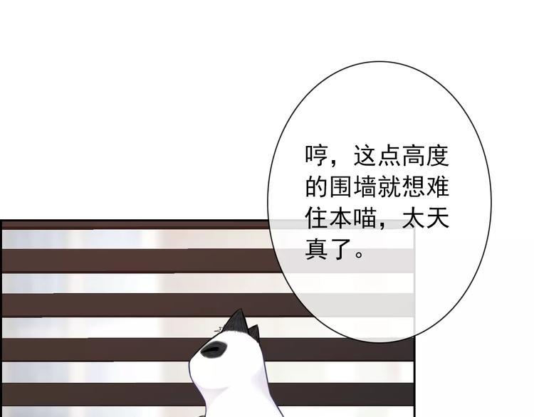 第89话 猫妖17