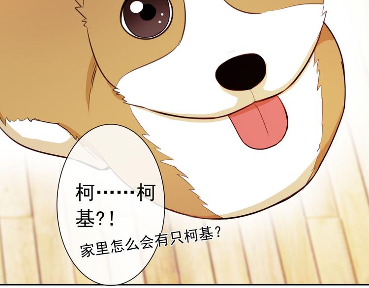 第47话 新宠27