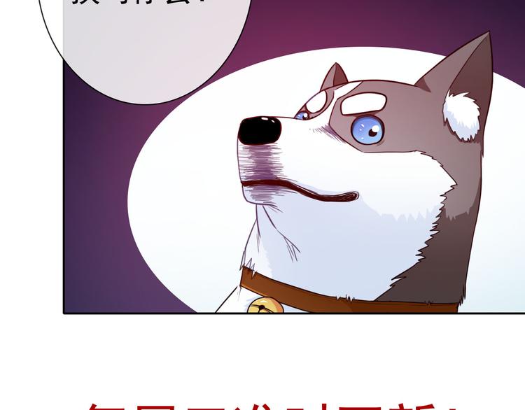 第35话 这只狗快成精了吧！？84