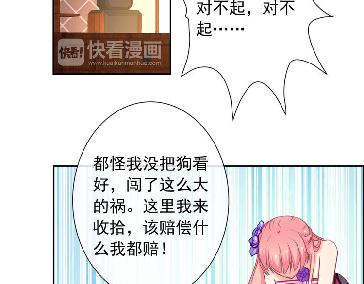 第35话 这只狗快成精了吧！？35